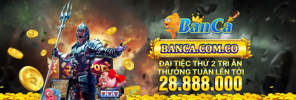 Banner Banca 6